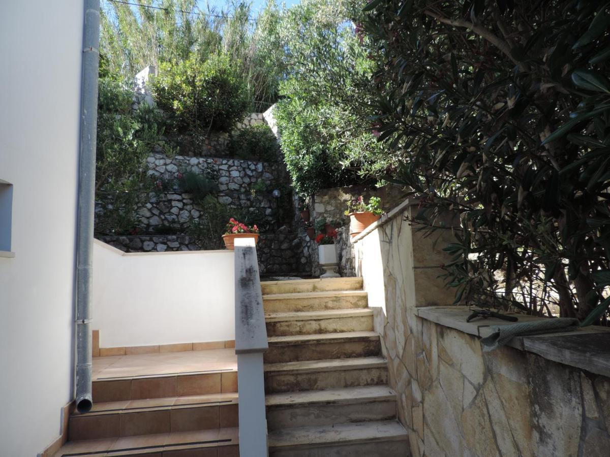 Apartmani Lavanda Pag Town Exteriér fotografie